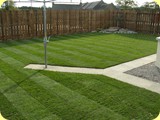 Newly laid turf.